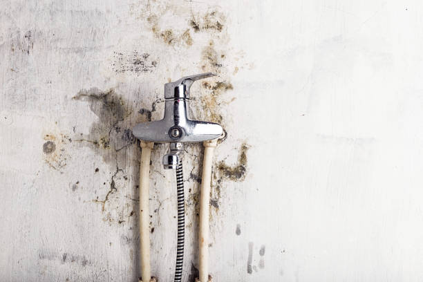 Best Mold Removal Process  in Strafford, MO