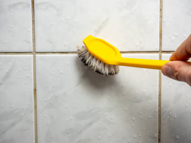 Best Professional Mold Removal  in Strafford, MO
