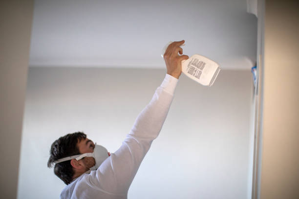 Professional Mold Removal in Strafford, MO
